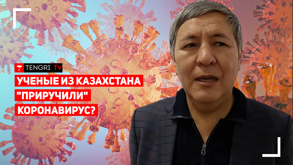 Из чего сделана казахстанская вакцина от коронавируса QazCovid-in?