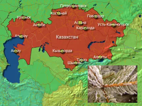 Прогноз погоды по областям Казахстана на 30 декабря