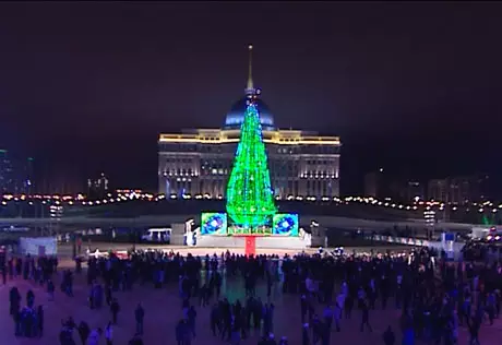 Пострадавших во время репетиции зажжения президентской елки детей выписали