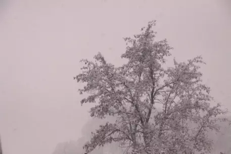 В Восточном Казахстане из снежного плена вызволили 150 человек