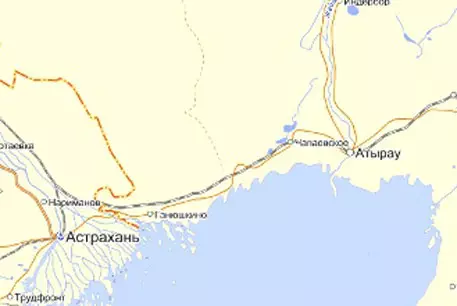 В Казахстане задержали россиянина за контрабанду лекарств 