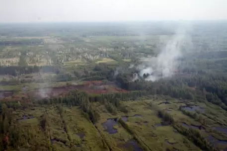 В Подмосковье площадь пожаров сократилась на четверть