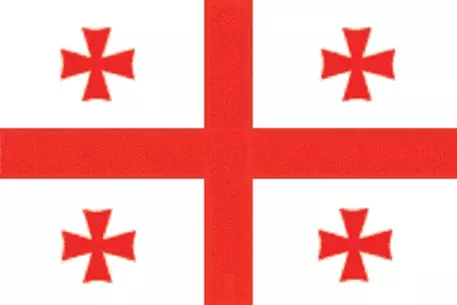 На выборах в Грузии существенных нарушений не выявлено