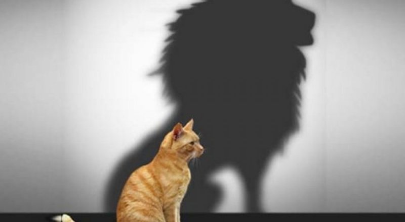 Иллюстративное фото: b17.ru