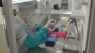 Новый амплификатор autoPCR презентовала ГК "Диамед" на Dubai EXPO 2020