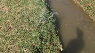 Как в Казахстане воруют воду. О проблеме, которая становится критической