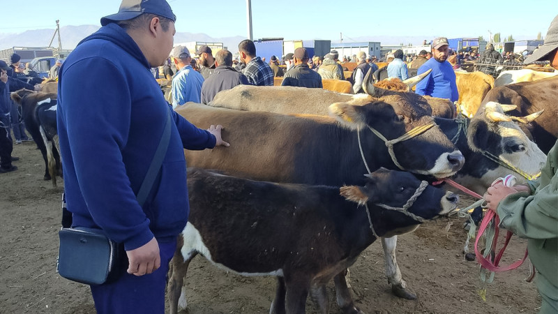 Фото: ©Tengrinews.kz / Юлия Колмогорова