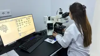 Генетика в Казахстане: ген ожирения, дети на заказ и семейный рак — мифы и правда