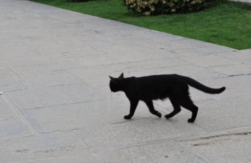 Аиданың жалаңаш суреті