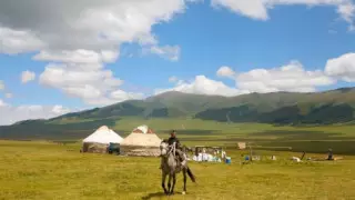 Топырақ жыр - торқа жыр: туған жер жырларына арналған лирикалық толғаныс