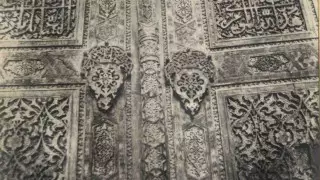 Жалаңаш ледибойлардың суреттері