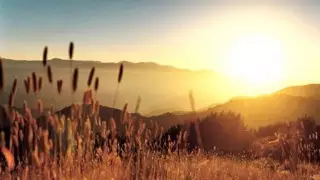 "Үркер" шоқ жұлдызы туралы түсінік