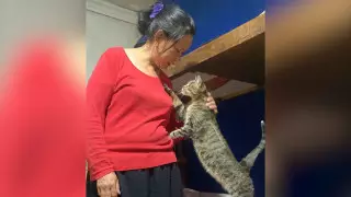 "Мені қатты қынжылтады". Жалғыз өзі 150-ге жуық ит пен мысықты асырып отырған әйел