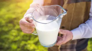 Кімдерге сүт ішу пайдалы?