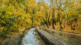 “С дәрумені лимоннан да көп“. Күздің ең пайдалы өнімі аталды
