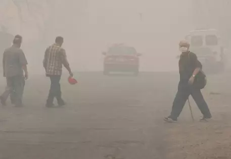 Из лагерей Подмосковья из-за пожаров вывезли 2,5 тысячи детей