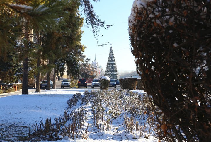 ©Ярослав Радловский