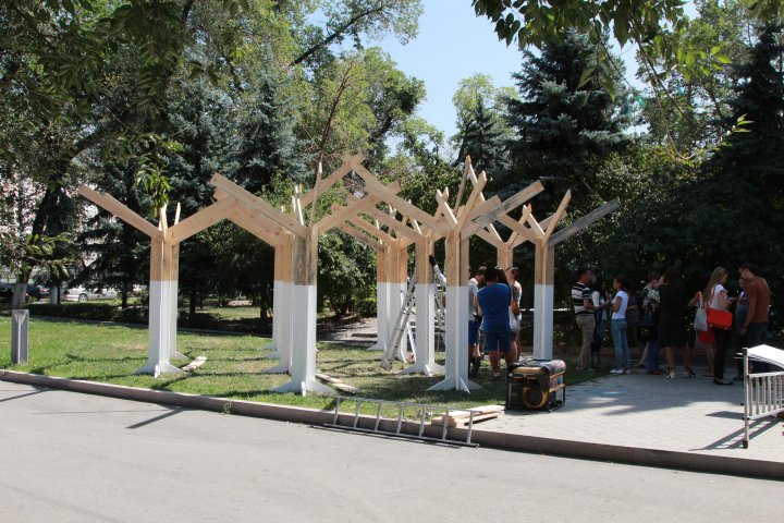 Основной меседж этого объекта - обратить внимание на проблему охраны природы. "Если люди не перестанут губить и безжалостно расправляться с растительным и животным миром на нашей планете, то очень скоро у нас останутся только такие леса", - рассказал Лоран. ©Владимир Прокопенко