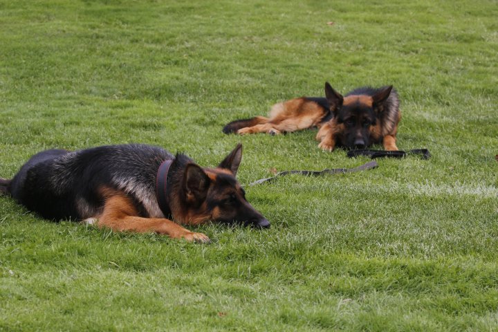 Отдых перед первым этапом соревнований. ©Дмитрий Хегай
