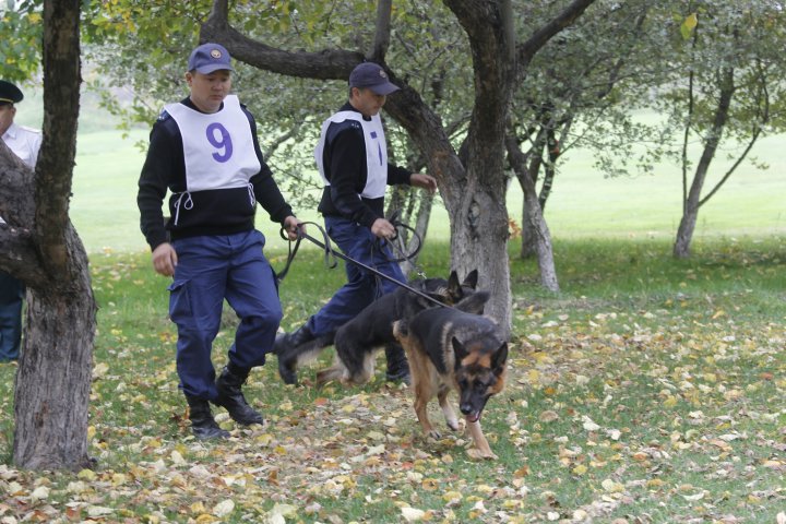 Команда из Азербайджана. ©Дмитрий Хегай