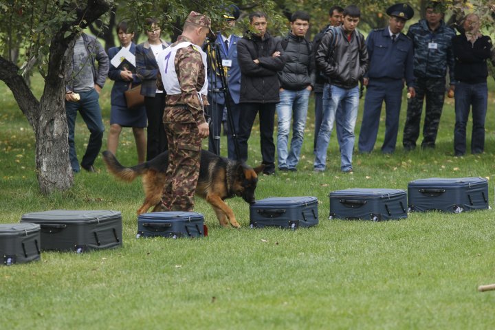 Очередная команда на старте. ©Дмитрий Хегай