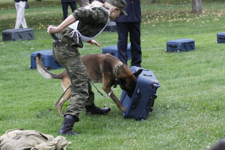 Тандем обнаружил подозрительный багаж. ©Дмитрий Хегай