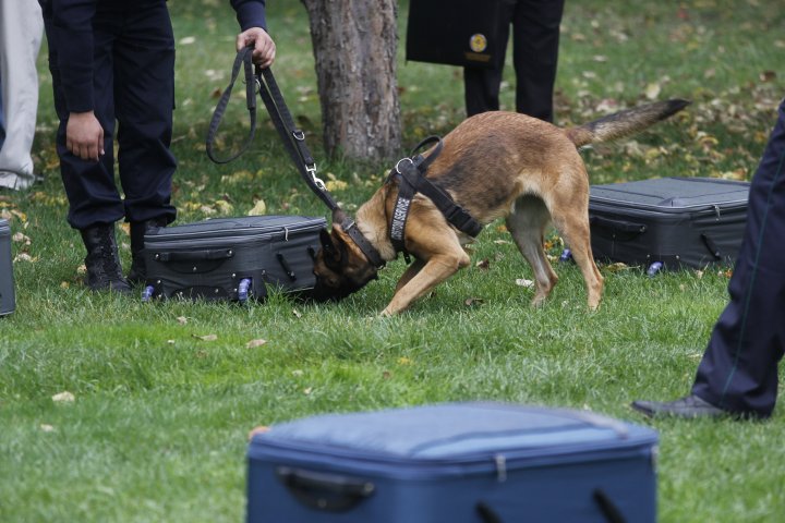 Его нужно обнюхать со всех сторон. ©Дмитрий Хегай