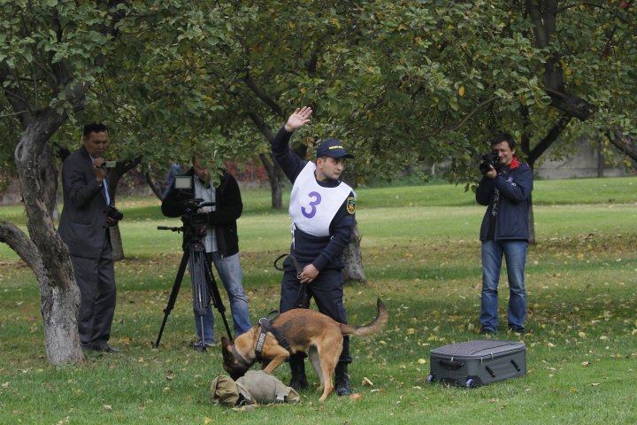 И все-таки "наркотики" спрятаны в этой сумке. ©Дмитрий Хегай