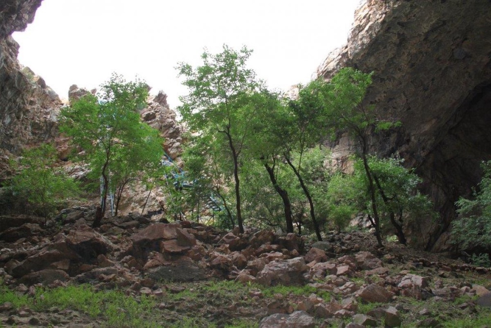 Ак-Мечеть находится в Алгабасском районе Южно-Казахстанской области, в десяти километрах севернее села Глиновка. С виду обычная опушка, правда, странно, что деревья растут среди камней.