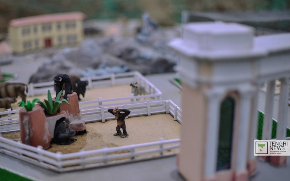 © Фото Турар Казангапов.