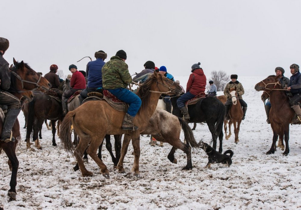 Турар Казангапов ©