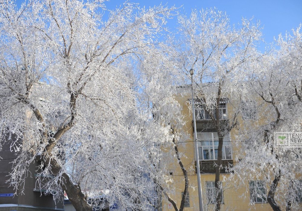 Фото Турар Казангапов ©