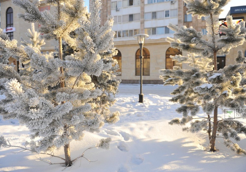 Фото Турар Казангапов ©