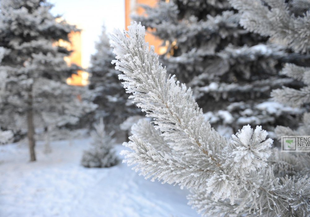 Фото Турар Казангапов ©