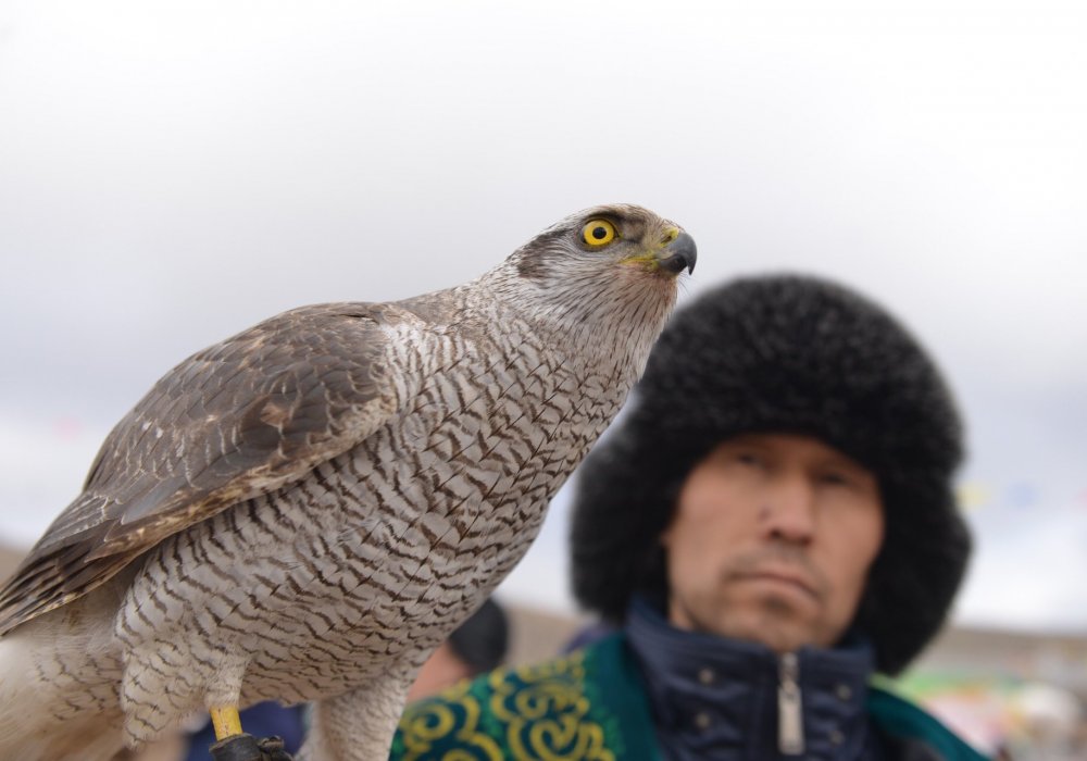 Фото Турар Казангапов©