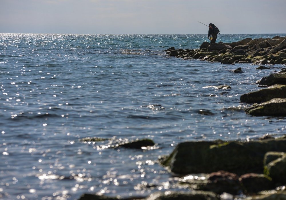 Лучшее место для прогулок.