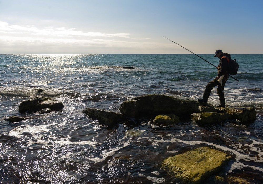 Ловить рыбу...