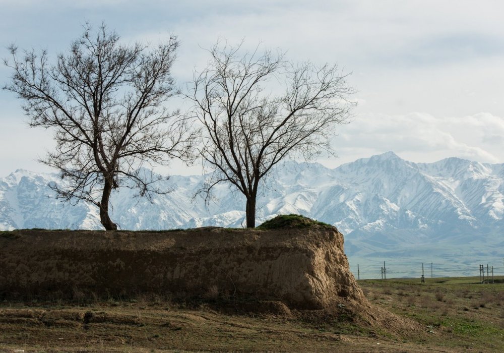 Жамбылская область