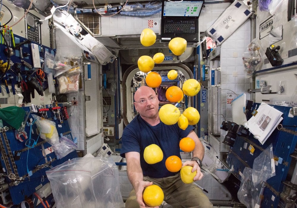 <p>Астронавт NASA Скотт Келли в окружении фруктов. В миссию американца входило изучение влияния пребывания в космосе на обмен веществ в организме. Фото NASA©</p>