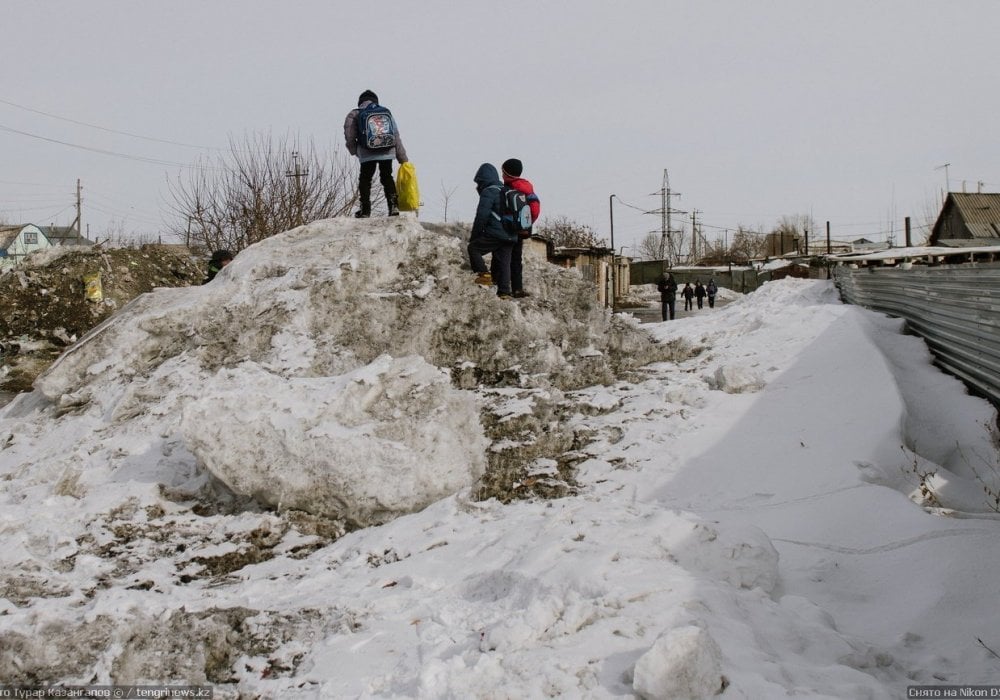 <p>Первое, что бросается в глаза, когда оказываешься на дачах Пригородного, - большое количество детей.</p>