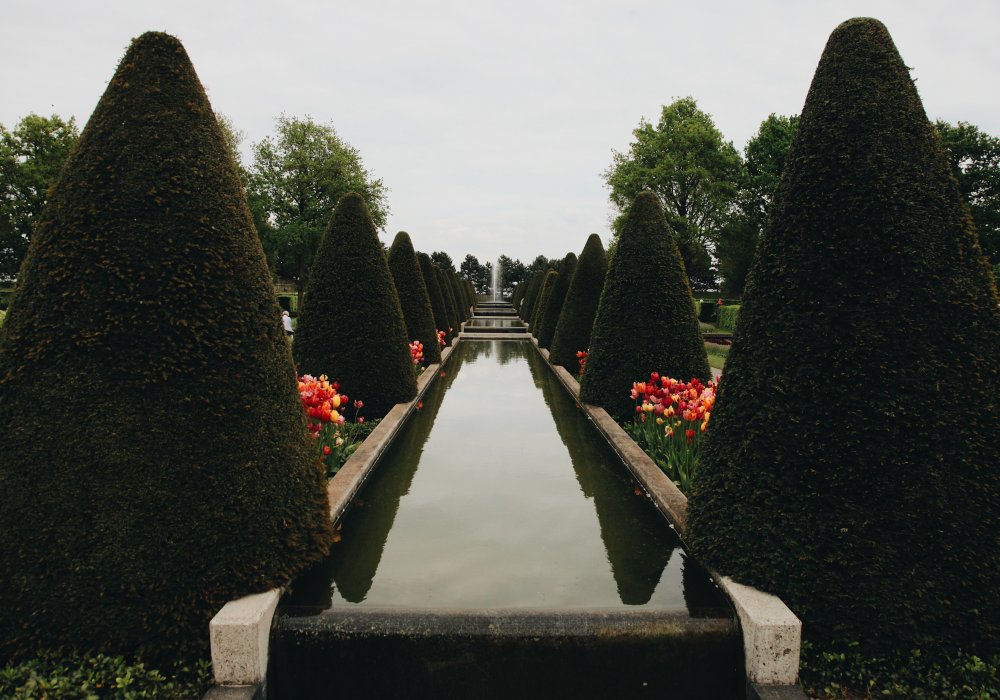 <p>Парк Keukenhof открыт всего восемь недель в году - примерно с 20-х чисел марта по 20-е числа мая. С сентября по декабрь работники парка вручную высаживают около семи миллионов луковиц тюльпанов от различных садоводческих компаний. </p>