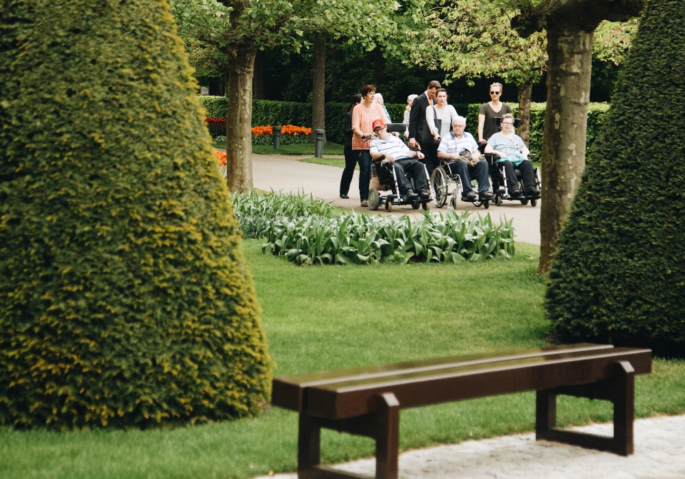 <p>Поэтому Keukenhof является одним из самых популярных мест паломничества любителей флоры со всего мира. В сезон парк посещают около миллиона гостей. Конечно, большая часть из них - взрослые и пожилые люди.</p>
