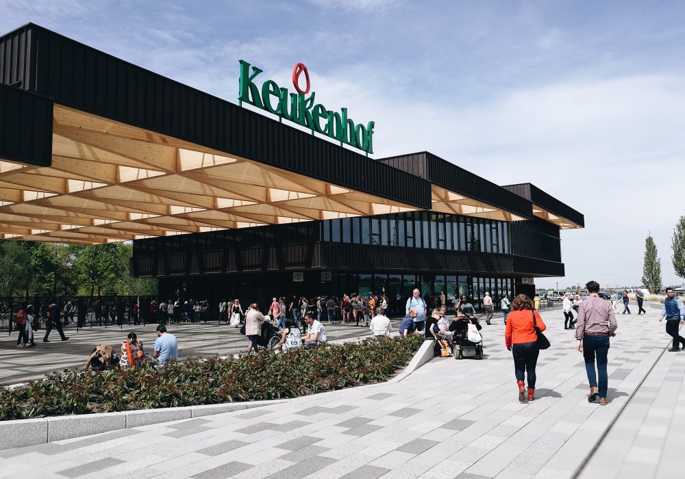 <p>Это королевский парк Keukenhof, расположенный между Амстердамом и Гаагой. Здесь на 32 гектарах под открытым небом представлены достижения Голландии в садоводстве и сельхозотрасли. Но основной упор в парке сделан на тюльпаны.</p>