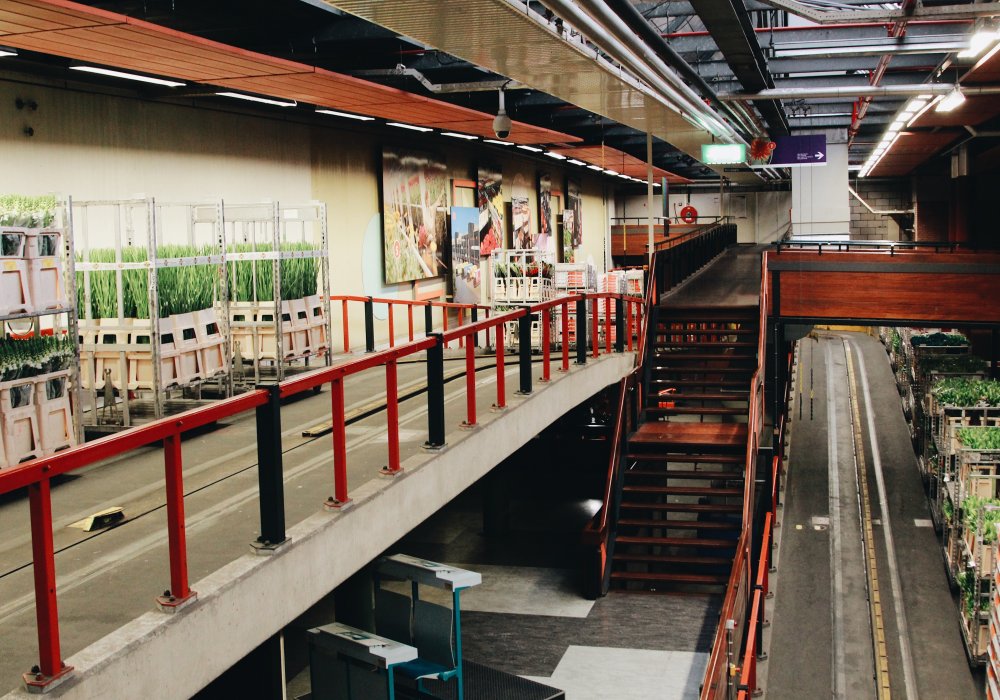 <p>Оборот FloraHolland составляет 4,4 миллиарда евро в год, или 9,6 миллиона евро в день. Садовники выставляют более 20 тысяч различных сортов растений.</p>