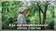 Жизнь под стук колес. Как любить свою работу в ауле и не стремиться уехать