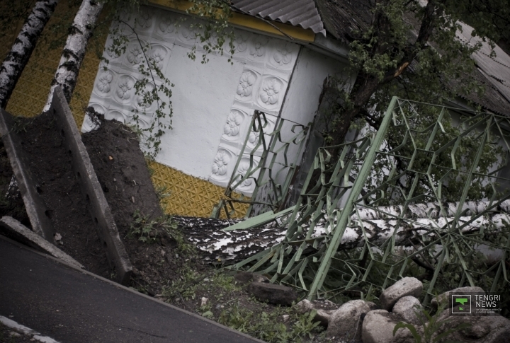 Фото: Владимир Дмитриев©