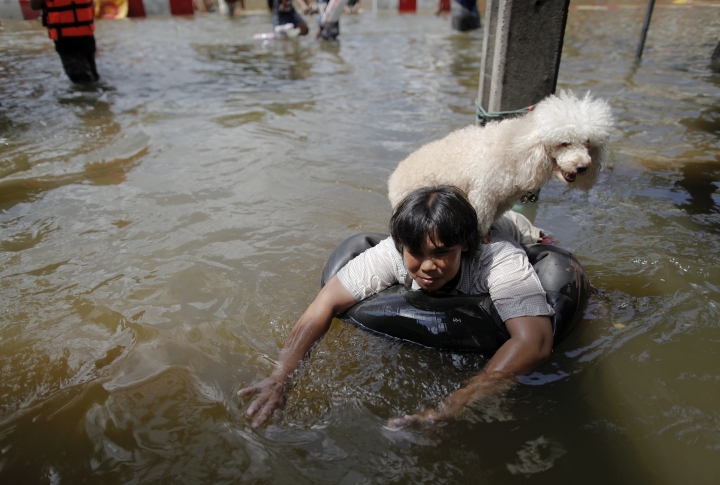 Фото REUTERS/Damir Sagolj©