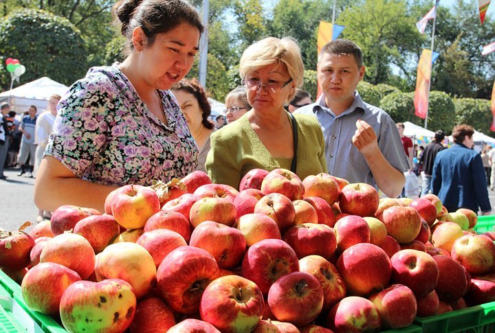 Фото ©Ярослав Радловский