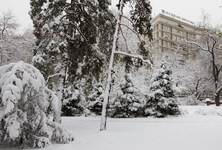 Фото Tengrinews.kz©