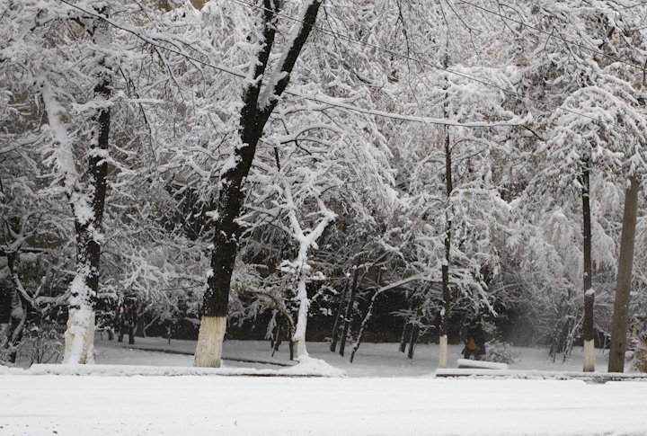 Фото Tengrinews.kz©